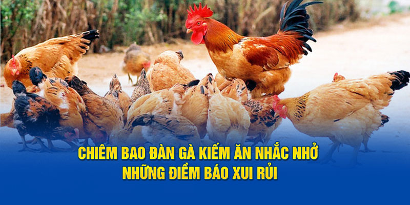 Chiêm bao đàn gà kiếm ăn nhắc nhở những điềm báo xui rủi