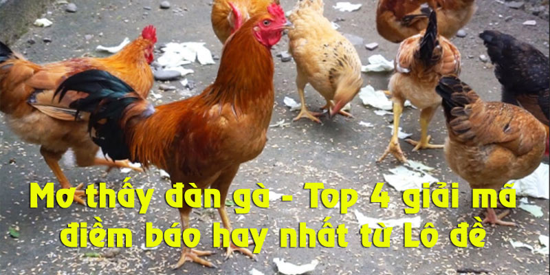 Mơ Thấy Đàn Gà - Top 4 Giải Mã Điềm Báo Hay Nhất Từ Lô Đề