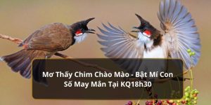 mơ thấy chim chào mào