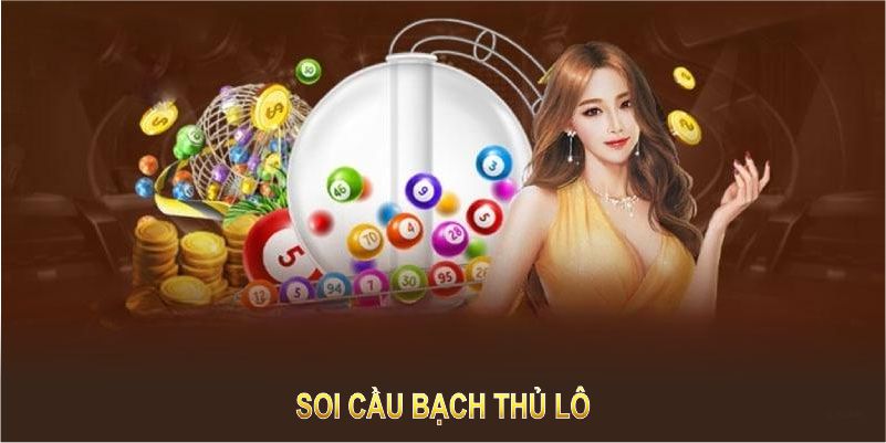 Soi Cầu Bạch Thủ Lô - Bí Quyết Tăng Cơ Hội Trúng Lớn