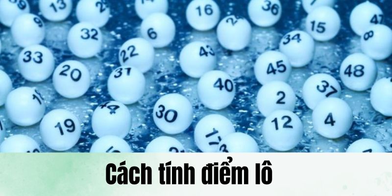 Cách Tính Điểm Lô - Hướng Dẫn Chi Tiết Dành Cho Tân Binh 